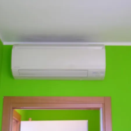 Nasse * ביביונה